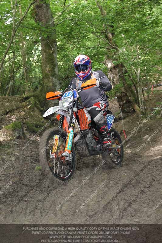 enduro digital images;enduro photos;eventdigitalimages;llandrindod wells;no limits trackdays;peter wileman photography;trackday digital images;wales;welsh 2 day enduro