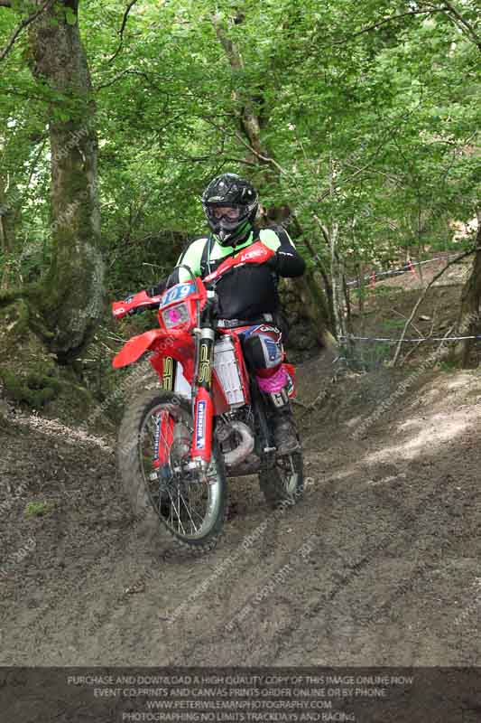 enduro digital images;enduro photos;eventdigitalimages;llandrindod wells;no limits trackdays;peter wileman photography;trackday digital images;wales;welsh 2 day enduro