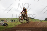enduro-digital-images;enduro-photos;eventdigitalimages;llandrindod-wells;no-limits-trackdays;peter-wileman-photography;trackday-digital-images;wales;welsh-2-day-enduro