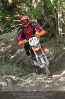 enduro-digital-images;enduro-photos;eventdigitalimages;llandrindod-wells;no-limits-trackdays;peter-wileman-photography;trackday-digital-images;wales;welsh-2-day-enduro