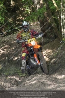 enduro-digital-images;enduro-photos;eventdigitalimages;llandrindod-wells;no-limits-trackdays;peter-wileman-photography;trackday-digital-images;wales;welsh-2-day-enduro