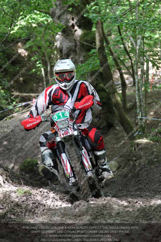 enduro digital images;enduro photos;eventdigitalimages;llandrindod wells;no limits trackdays;peter wileman photography;trackday digital images;wales;welsh 2 day enduro