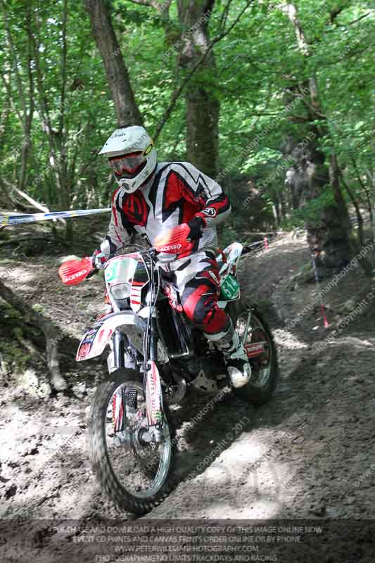 enduro digital images;enduro photos;eventdigitalimages;llandrindod wells;no limits trackdays;peter wileman photography;trackday digital images;wales;welsh 2 day enduro