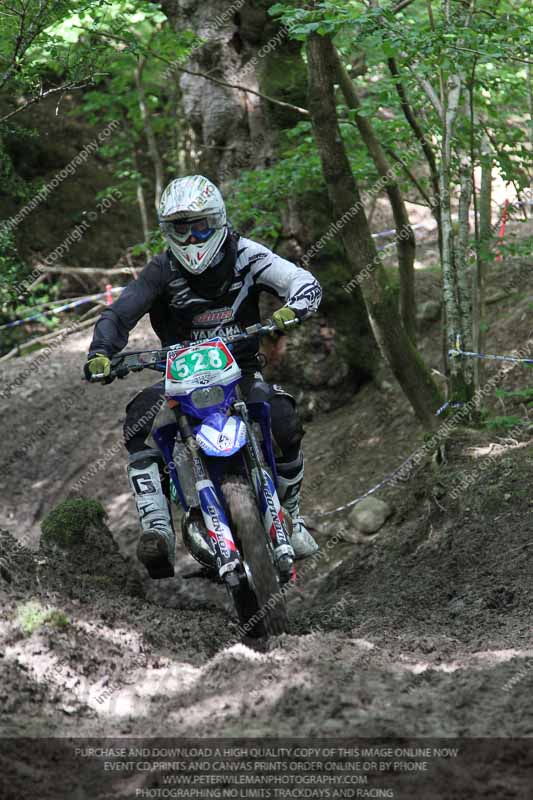 enduro digital images;enduro photos;eventdigitalimages;llandrindod wells;no limits trackdays;peter wileman photography;trackday digital images;wales;welsh 2 day enduro