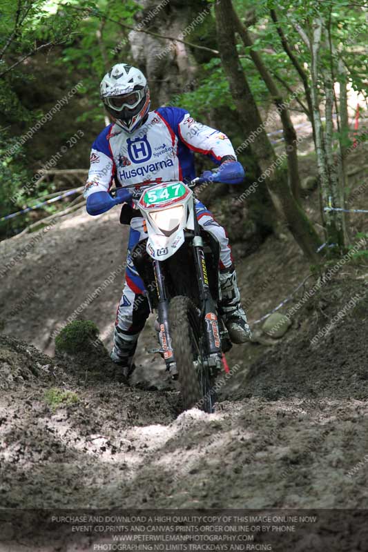 enduro digital images;enduro photos;eventdigitalimages;llandrindod wells;no limits trackdays;peter wileman photography;trackday digital images;wales;welsh 2 day enduro