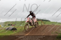 enduro-digital-images;enduro-photos;eventdigitalimages;llandrindod-wells;no-limits-trackdays;peter-wileman-photography;trackday-digital-images;wales;welsh-2-day-enduro