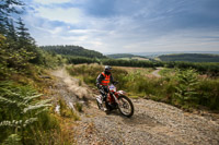 enduro-digital-images;enduro-photos;eventdigitalimages;llandrindod-wells;no-limits-trackdays;peter-wileman-photography;trackday-digital-images;wales;welsh-2-day-enduro