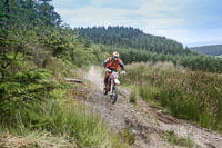 enduro-digital-images;enduro-photos;eventdigitalimages;llandrindod-wells;no-limits-trackdays;peter-wileman-photography;trackday-digital-images;wales;welsh-2-day-enduro