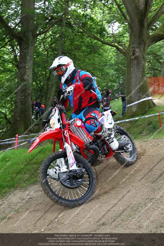 enduro digital images;enduro photos;eventdigitalimages;llandrindod wells;no limits trackdays;peter wileman photography;trackday digital images;wales;welsh 2 day enduro