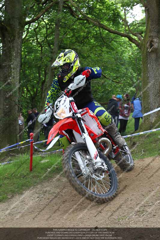 enduro digital images;enduro photos;eventdigitalimages;llandrindod wells;no limits trackdays;peter wileman photography;trackday digital images;wales;welsh 2 day enduro
