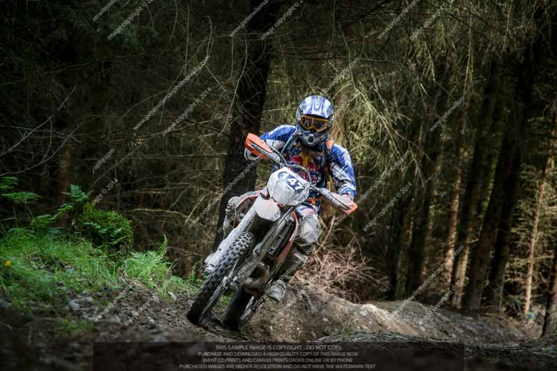 enduro digital images;enduro photos;eventdigitalimages;llandrindod wells;no limits trackdays;peter wileman photography;trackday digital images;wales;welsh 2 day enduro