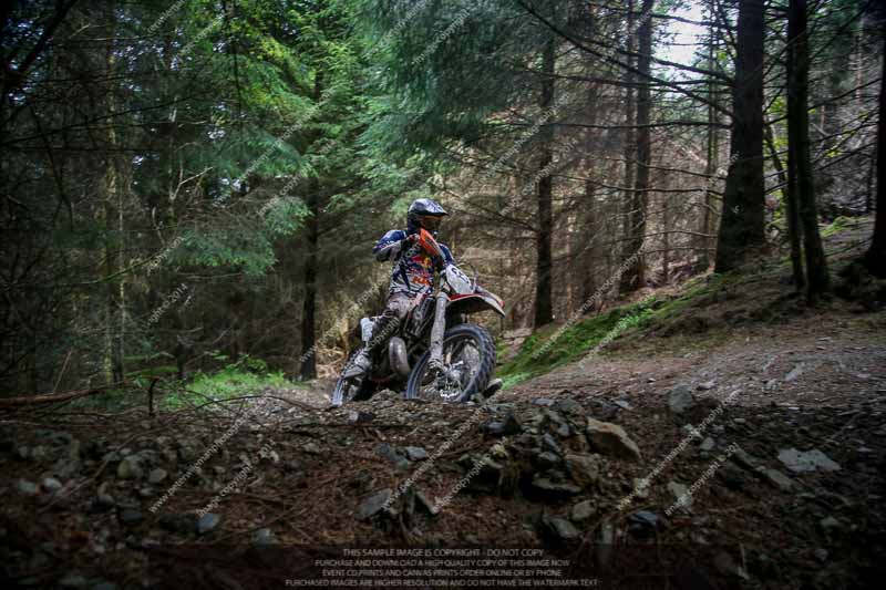 enduro digital images;enduro photos;eventdigitalimages;llandrindod wells;no limits trackdays;peter wileman photography;trackday digital images;wales;welsh 2 day enduro