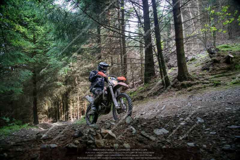 enduro digital images;enduro photos;eventdigitalimages;llandrindod wells;no limits trackdays;peter wileman photography;trackday digital images;wales;welsh 2 day enduro