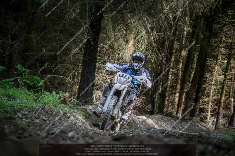 enduro digital images;enduro photos;eventdigitalimages;llandrindod wells;no limits trackdays;peter wileman photography;trackday digital images;wales;welsh 2 day enduro