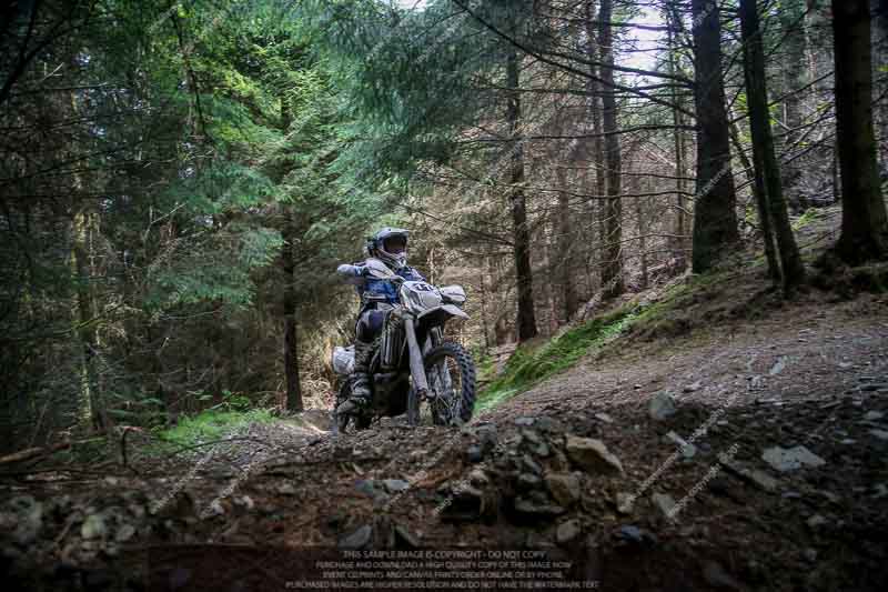 enduro digital images;enduro photos;eventdigitalimages;llandrindod wells;no limits trackdays;peter wileman photography;trackday digital images;wales;welsh 2 day enduro