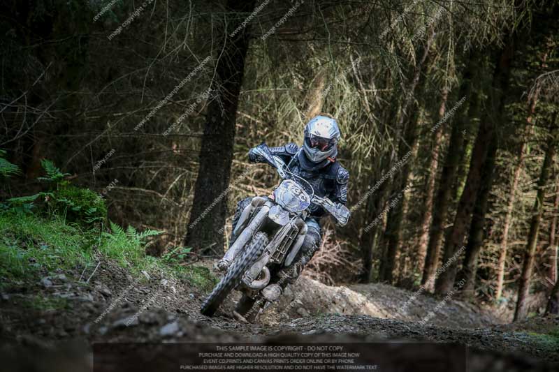 enduro digital images;enduro photos;eventdigitalimages;llandrindod wells;no limits trackdays;peter wileman photography;trackday digital images;wales;welsh 2 day enduro