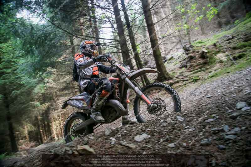 enduro digital images;enduro photos;eventdigitalimages;llandrindod wells;no limits trackdays;peter wileman photography;trackday digital images;wales;welsh 2 day enduro