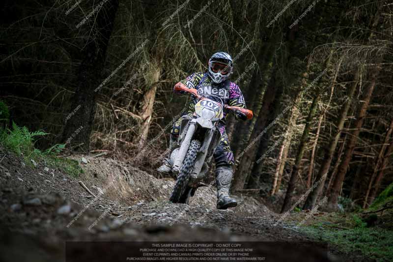 enduro digital images;enduro photos;eventdigitalimages;llandrindod wells;no limits trackdays;peter wileman photography;trackday digital images;wales;welsh 2 day enduro