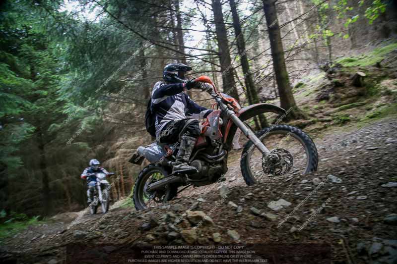 enduro digital images;enduro photos;eventdigitalimages;llandrindod wells;no limits trackdays;peter wileman photography;trackday digital images;wales;welsh 2 day enduro