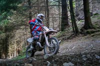 enduro-digital-images;enduro-photos;eventdigitalimages;llandrindod-wells;no-limits-trackdays;peter-wileman-photography;trackday-digital-images;wales;welsh-2-day-enduro