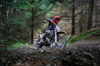 enduro-digital-images;enduro-photos;eventdigitalimages;llandrindod-wells;no-limits-trackdays;peter-wileman-photography;trackday-digital-images;wales;welsh-2-day-enduro