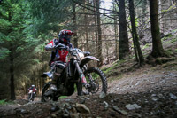 enduro-digital-images;enduro-photos;eventdigitalimages;llandrindod-wells;no-limits-trackdays;peter-wileman-photography;trackday-digital-images;wales;welsh-2-day-enduro