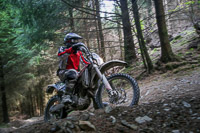 enduro-digital-images;enduro-photos;eventdigitalimages;llandrindod-wells;no-limits-trackdays;peter-wileman-photography;trackday-digital-images;wales;welsh-2-day-enduro