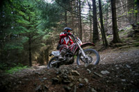 enduro-digital-images;enduro-photos;eventdigitalimages;llandrindod-wells;no-limits-trackdays;peter-wileman-photography;trackday-digital-images;wales;welsh-2-day-enduro