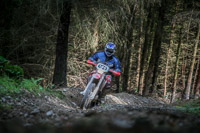 enduro-digital-images;enduro-photos;eventdigitalimages;llandrindod-wells;no-limits-trackdays;peter-wileman-photography;trackday-digital-images;wales;welsh-2-day-enduro