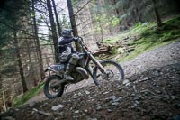 enduro-digital-images;enduro-photos;eventdigitalimages;llandrindod-wells;no-limits-trackdays;peter-wileman-photography;trackday-digital-images;wales;welsh-2-day-enduro