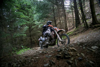 enduro-digital-images;enduro-photos;eventdigitalimages;llandrindod-wells;no-limits-trackdays;peter-wileman-photography;trackday-digital-images;wales;welsh-2-day-enduro