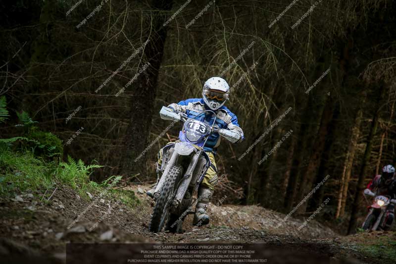 enduro digital images;enduro photos;eventdigitalimages;llandrindod wells;no limits trackdays;peter wileman photography;trackday digital images;wales;welsh 2 day enduro