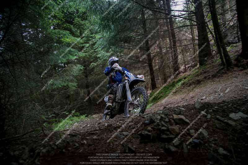 enduro digital images;enduro photos;eventdigitalimages;llandrindod wells;no limits trackdays;peter wileman photography;trackday digital images;wales;welsh 2 day enduro