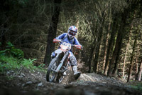 enduro-digital-images;enduro-photos;eventdigitalimages;llandrindod-wells;no-limits-trackdays;peter-wileman-photography;trackday-digital-images;wales;welsh-2-day-enduro