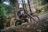 enduro-digital-images;enduro-photos;eventdigitalimages;llandrindod-wells;no-limits-trackdays;peter-wileman-photography;trackday-digital-images;wales;welsh-2-day-enduro