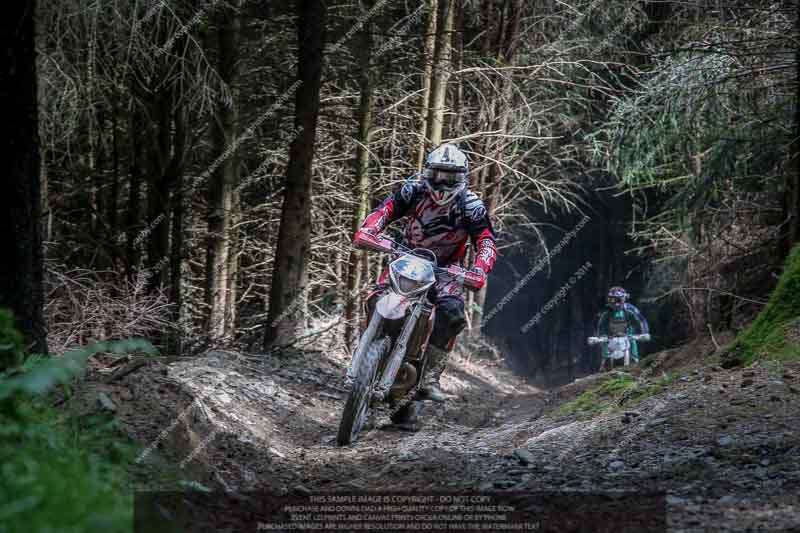 enduro digital images;enduro photos;eventdigitalimages;llandrindod wells;no limits trackdays;peter wileman photography;trackday digital images;wales;welsh 2 day enduro