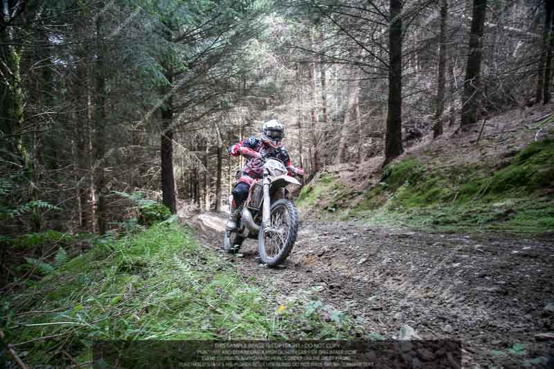 enduro digital images;enduro photos;eventdigitalimages;llandrindod wells;no limits trackdays;peter wileman photography;trackday digital images;wales;welsh 2 day enduro