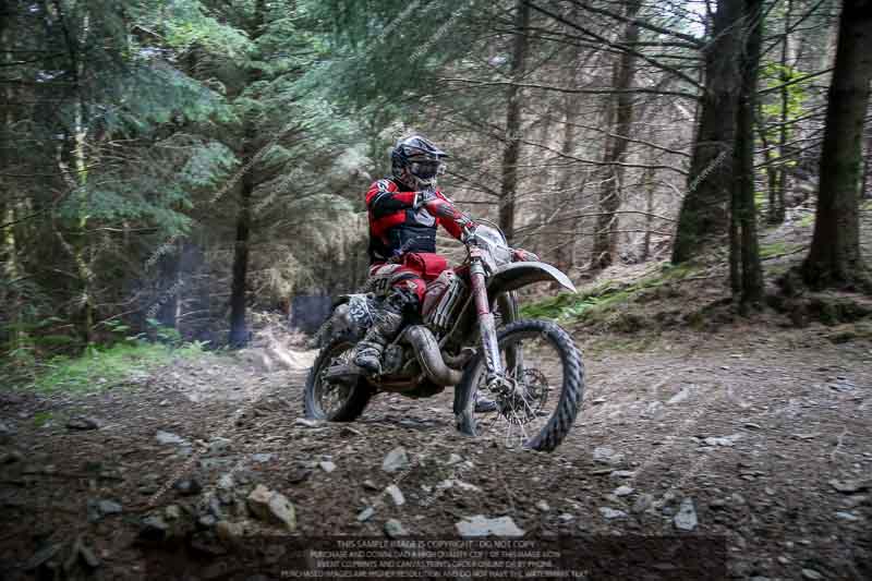 enduro digital images;enduro photos;eventdigitalimages;llandrindod wells;no limits trackdays;peter wileman photography;trackday digital images;wales;welsh 2 day enduro