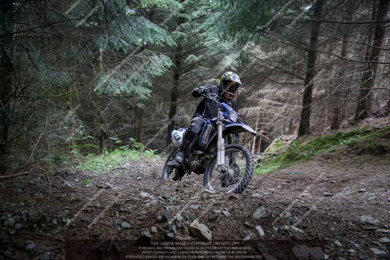 enduro digital images;enduro photos;eventdigitalimages;llandrindod wells;no limits trackdays;peter wileman photography;trackday digital images;wales;welsh 2 day enduro