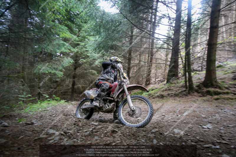 enduro digital images;enduro photos;eventdigitalimages;llandrindod wells;no limits trackdays;peter wileman photography;trackday digital images;wales;welsh 2 day enduro
