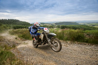 enduro-digital-images;enduro-photos;eventdigitalimages;llandrindod-wells;no-limits-trackdays;peter-wileman-photography;trackday-digital-images;wales;welsh-2-day-enduro