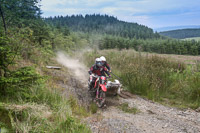 enduro-digital-images;enduro-photos;eventdigitalimages;llandrindod-wells;no-limits-trackdays;peter-wileman-photography;trackday-digital-images;wales;welsh-2-day-enduro