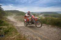 enduro-digital-images;enduro-photos;eventdigitalimages;llandrindod-wells;no-limits-trackdays;peter-wileman-photography;trackday-digital-images;wales;welsh-2-day-enduro