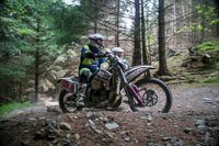 enduro-digital-images;enduro-photos;eventdigitalimages;llandrindod-wells;no-limits-trackdays;peter-wileman-photography;trackday-digital-images;wales;welsh-2-day-enduro