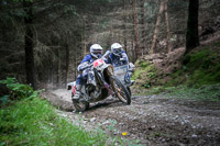 enduro-digital-images;enduro-photos;eventdigitalimages;llandrindod-wells;no-limits-trackdays;peter-wileman-photography;trackday-digital-images;wales;welsh-2-day-enduro
