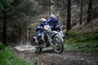 enduro-digital-images;enduro-photos;eventdigitalimages;llandrindod-wells;no-limits-trackdays;peter-wileman-photography;trackday-digital-images;wales;welsh-2-day-enduro