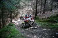 enduro-digital-images;enduro-photos;eventdigitalimages;llandrindod-wells;no-limits-trackdays;peter-wileman-photography;trackday-digital-images;wales;welsh-2-day-enduro
