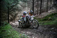enduro-digital-images;enduro-photos;eventdigitalimages;llandrindod-wells;no-limits-trackdays;peter-wileman-photography;trackday-digital-images;wales;welsh-2-day-enduro