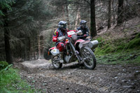 enduro-digital-images;enduro-photos;eventdigitalimages;llandrindod-wells;no-limits-trackdays;peter-wileman-photography;trackday-digital-images;wales;welsh-2-day-enduro