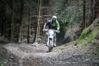 enduro-digital-images;enduro-photos;eventdigitalimages;llandrindod-wells;no-limits-trackdays;peter-wileman-photography;trackday-digital-images;wales;welsh-2-day-enduro
